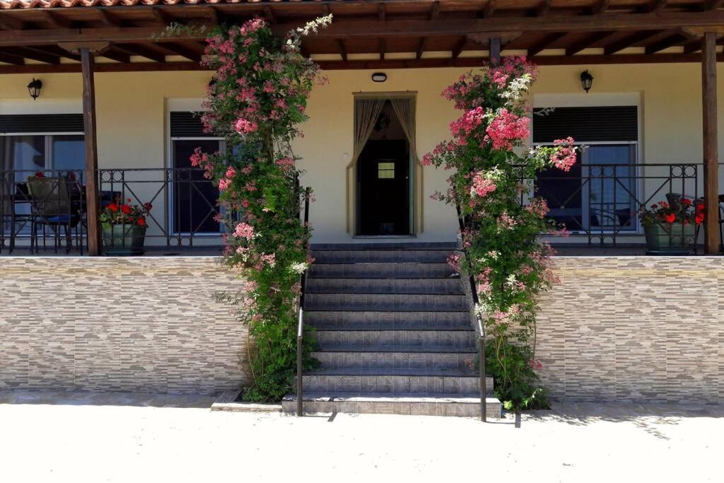 Eleni'S House Chorefto Zagora Exterior photo